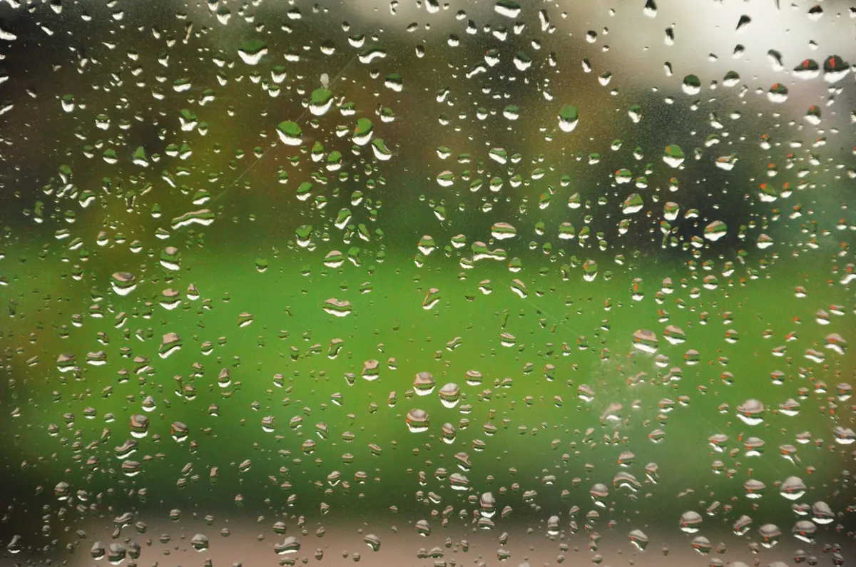 Why Do Windows Fog Up on the Inside? A Guide to Condensation and Mould